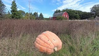 Cleaning up 2019 and starting the 2020 growing season