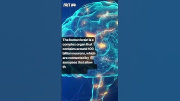 The human brain #shorts #facts #science