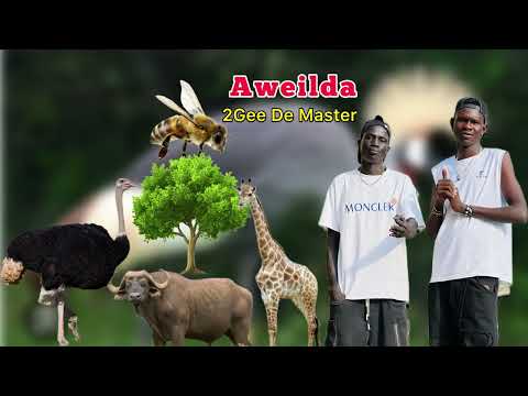 Aweilda By 2Gee De Master New Song 