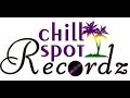 DJ PRINCIPAL ZIMDANCEHALL MIX CHILLSPOT SPECIAL