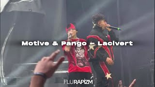 Motive &amp; Pango - Lacivert Konser Performansı