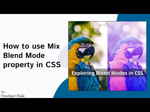 Basics of CSS Mix Blend Modes | CSS Tricks | CSS Mix Blend Modes Effects | Quick CSS Tips and Tricks