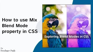 Basics of CSS Mix Blend Modes | CSS Tricks | CSS Mix Blend Modes Effects | Quick CSS Tips and Tricks