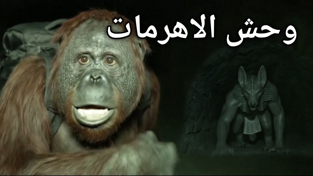 **فلوغ القرداني: مغامرة مثيرة في أهرامات مصر القديمة! ⏳ (اكتشافات غامضة)** - الجزء الأول -