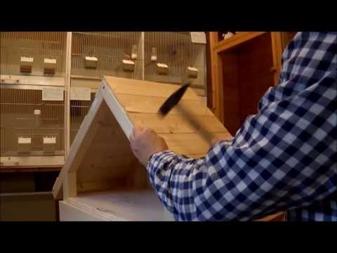 Video: Hoe maak je een kattenhuis met je eigen handen