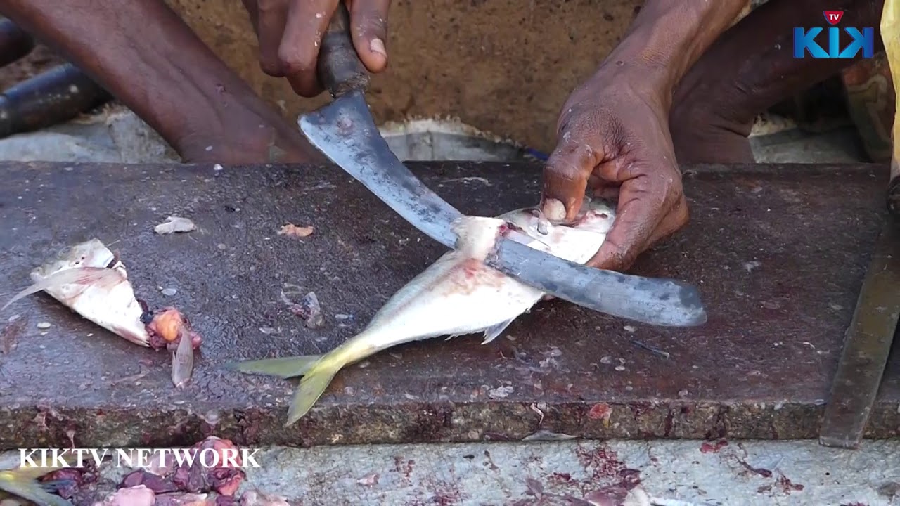 Mini Catla Fish Cuttings | Amazing fish Cutting | Kik tv | KikTV Network