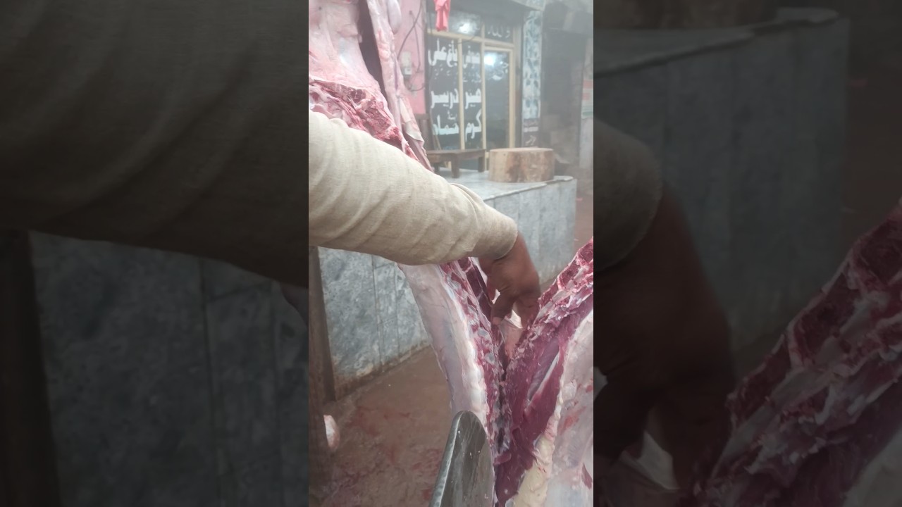 buffalo cutting in to pieces 