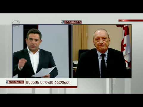 საბავშვო ბაღებში ცხენის ხორცი გამოვლინდა - ზურაბ ჩეკურაშვილი გადაცემაში \"იმედის კვირა\"