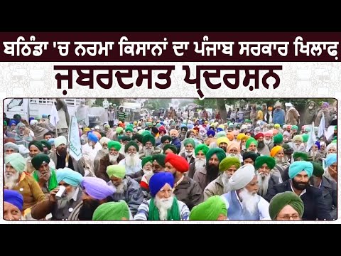 Bathinda: नरमा किसानों का Punjab सरकार खिलाफ़ जबरदस्त प्रदर्शन