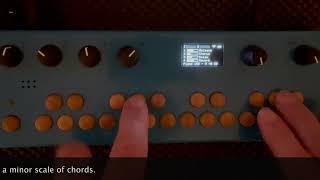 Organelle OS v5 Chords - A grand piano patch and plucked with a strum setting.