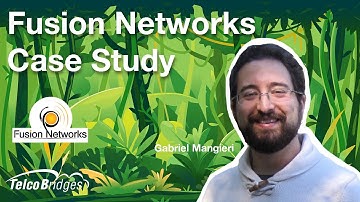 TelcoBridges in the Wild - Fusion Networks Case Study