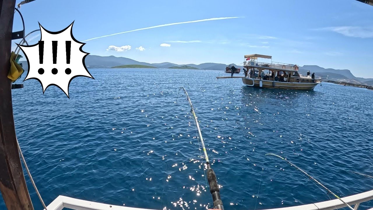 BODRUM GÜVERCİNLİK MEVKİİNDE MERCAN, ÇUPRA, GOPEZ AVI🤙🏾🎣🐟