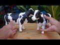 Waow amazing unboxing cows and the stuff