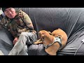 Lucy tried to calm my dad down