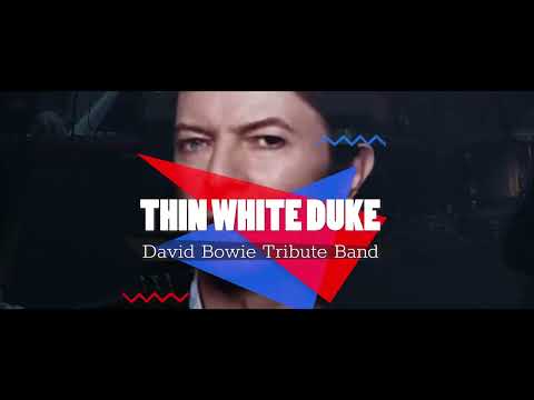 Thin White Duke Tributes David Bowie