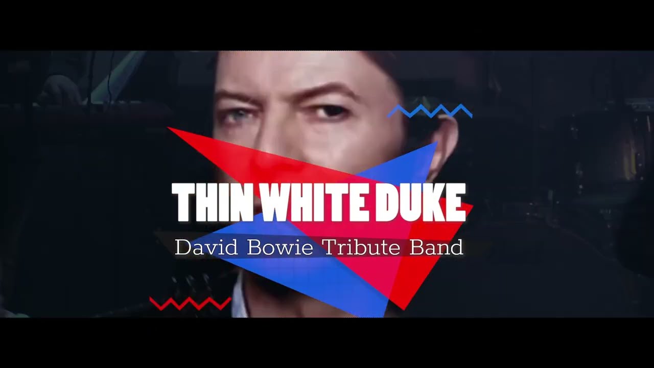 Thin White Duke Tributes David Bowie