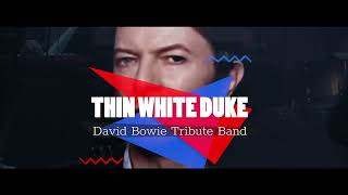 Thin White Duke Tributes David Bowie