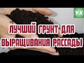 ЛУЧШИЙ ГРУНТ ДЛЯ ВЫРАЩИВАНИЯ РАССАДЫ