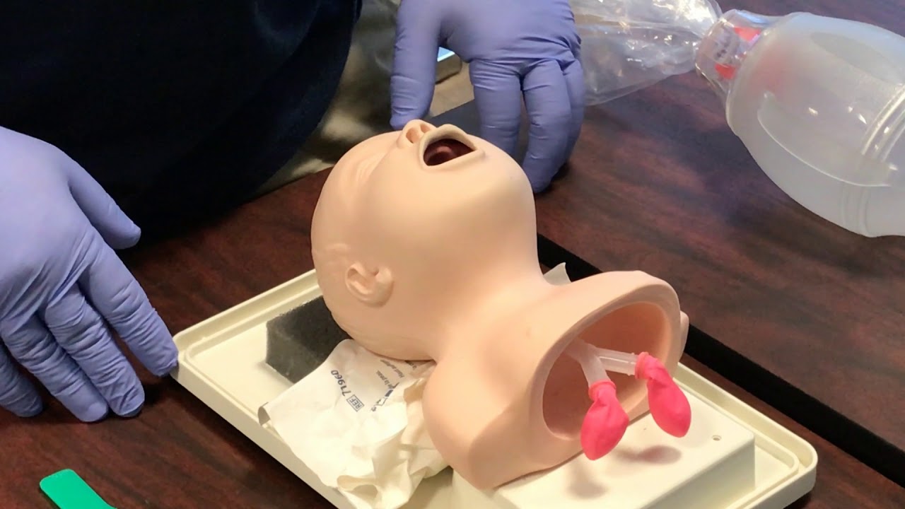 Pediatric Airway Management