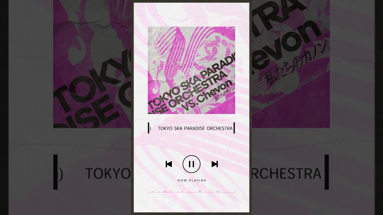 スカパラ 谷中敦 サイン 色紙 スカパラ 谷中敦 サイン 色紙 スカパラ 谷中敦 サイン 色紙 スカパラ