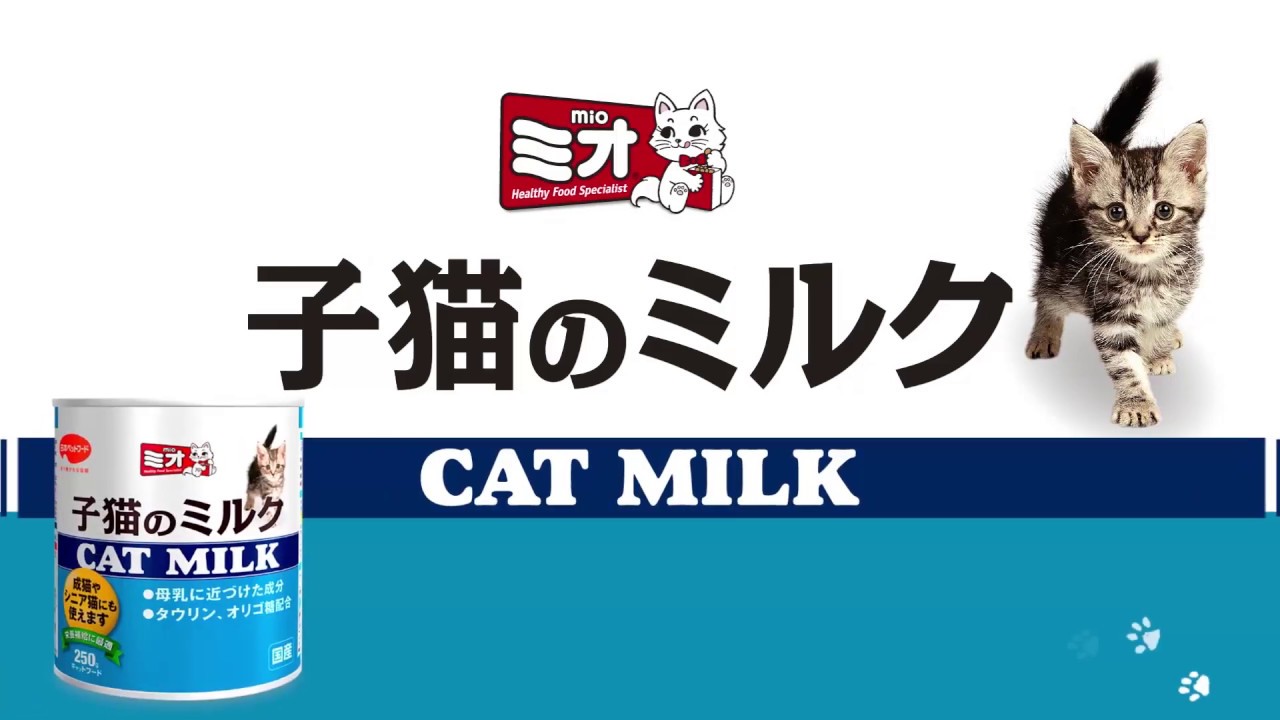 日本ペットフード 猫の基礎知識