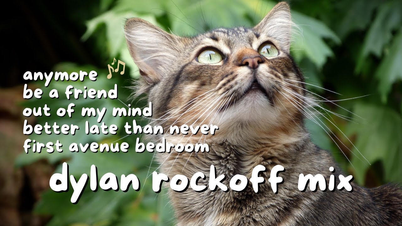 STUDY MUSIC 🐈 chill songs from dylan rockoff | Chill Music Playlist