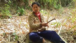 Cab Nyuj Mus Tso Tom Tshav Thiab Cuab Noog Da Dej Mag Heev Li Nawb