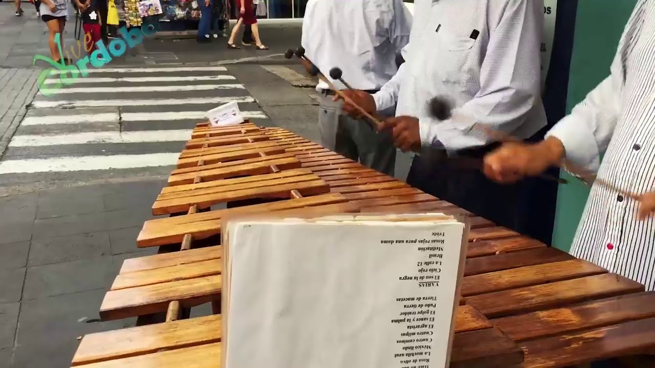 La tradiccional Marimba de ¡¡Córdoba Veracruz!!… YouTube