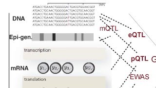 Oliver Stegle - Modeling molecular heterogeneity between individuals and single cells Net Worth