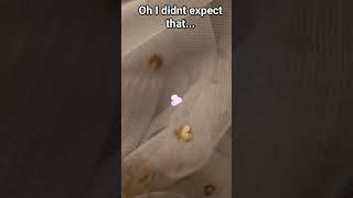 Oh I Didnt Expect That