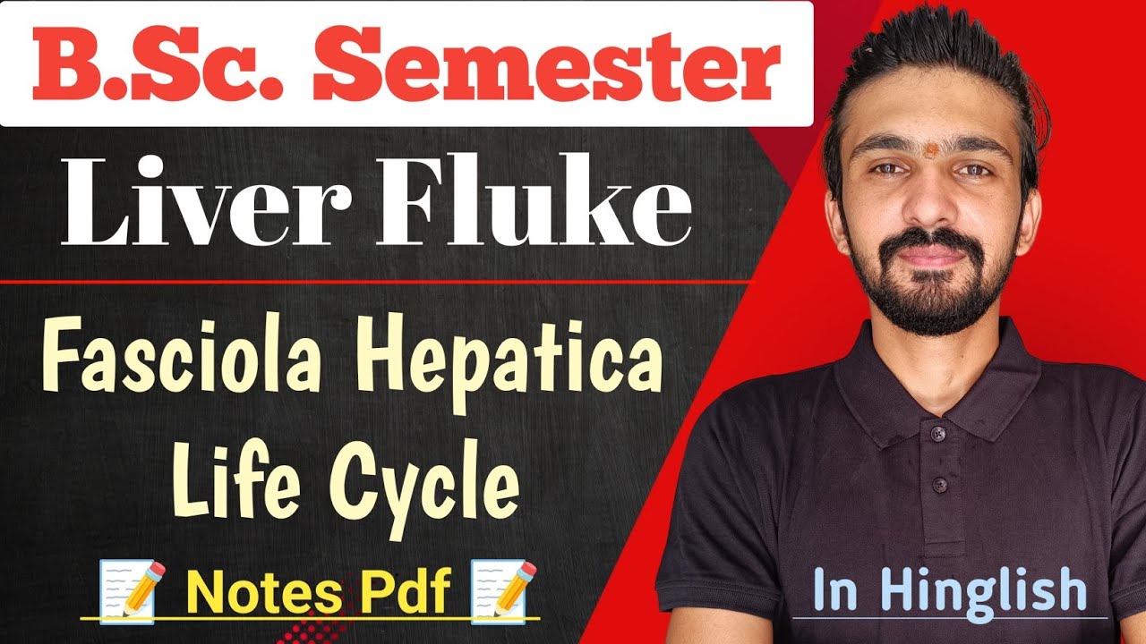 Fasciola Hepatica Life Cycle | Liver Fluke || Bsc Semester || By Dadhich Sir