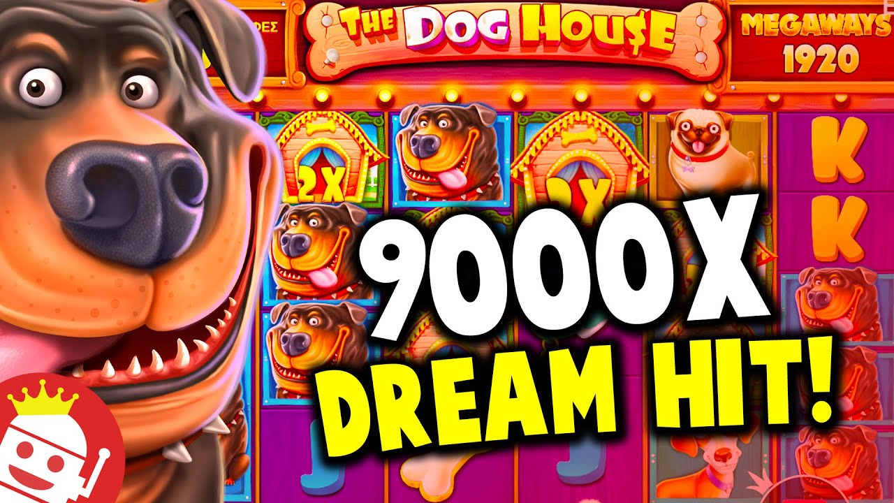 Исследуйте новый мир развлечений с слотом Dog House: Ваш билет к азартному успеху!