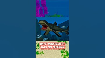 The REAL Reason Minecraft NEVER Added Sharks? #minecraft