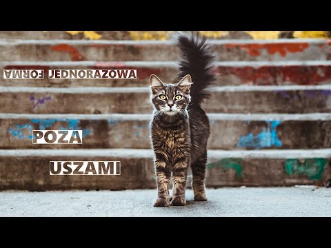 Poza Uszami #1 - CHĘTNIE BYM KOGOŚ SPOTKAŁ...:)