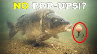 DON'T use Pop-Ups to catch carp in this situation