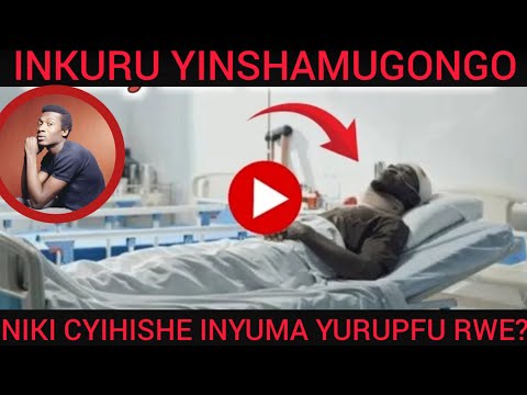 INKURU Y'INSHAMUGONGO😭😭 URUPFU RWE RWASHEGESHE BENSHI💔 JIMMY CLIFF, IGIHANGAGE/YAZIZE IKI?