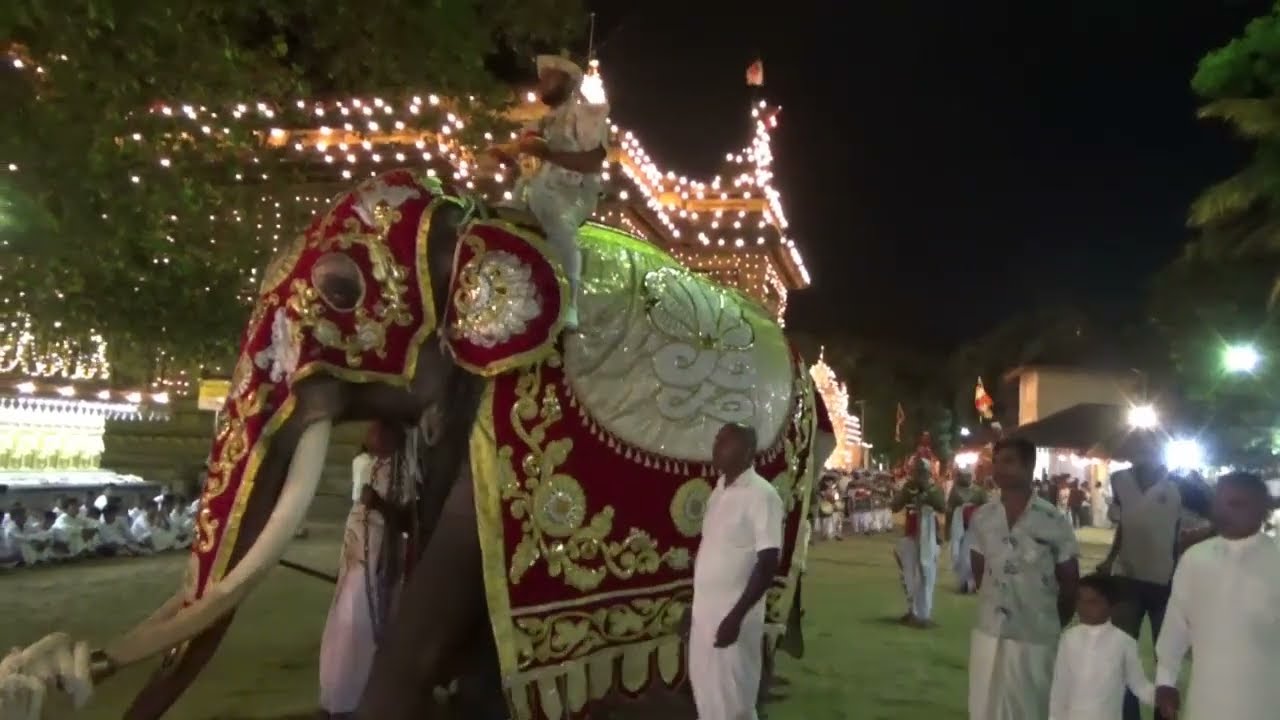 2026 -01 -08 UDAMALUWA PERAHERA