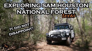 THINGS TO DO IN HOUSTON | Sam Houston National Forest | Public Offroad Trails | Texas | 4WD Tracks |