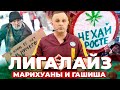 ЛИГАЛАЙЗ марихуаны в России? | АЛКОГОЛЬ vs КОНОПЛЯ - что хуже? | Сколько держится в организме