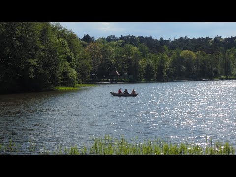 Video: Kā Nokļūt Svetlogorskā