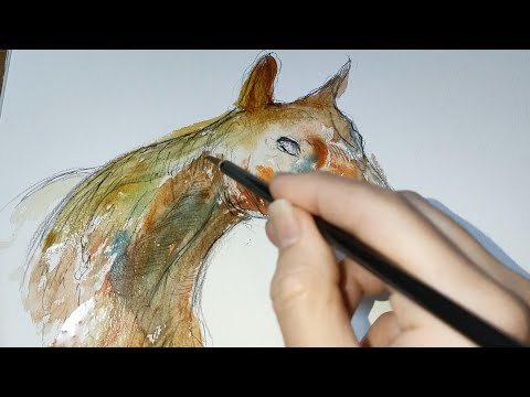 馬の水彩画を描く方法 / Water color painting #ドローイング