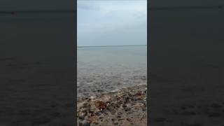 Капчагай #travel #казахстан #лето #восторг #купание