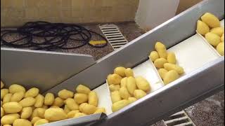 ماكينات تقشير وتقطيع البطاطا patates production line