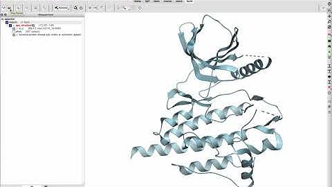 A quick guide on how to dock to an apo protein structure in the 3D ligand editor.
