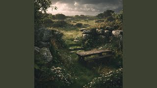 Wild Ireland