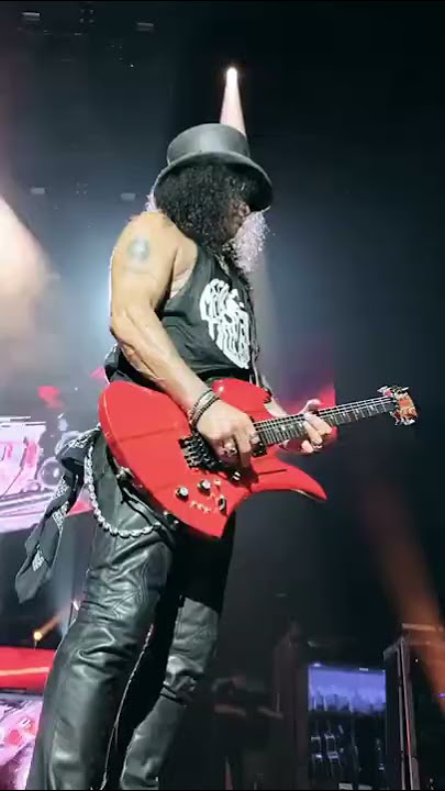You Could Be Mine | Guns N' Roses | #gunsnroses #axlrose #slash #duffmckagan #notinthislifetime #gnr