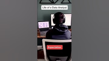 What Does a Data Analyst REALLY Do #shorts #viralvideos