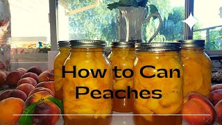 How to Can Peaches in a Light Honey Syrup. Stocking My Pantry.