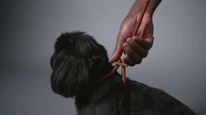 How to use the Boo Oh Ray Harness and Toto Bag