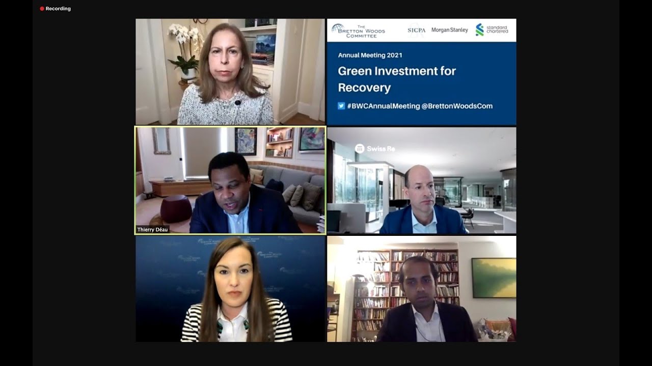 Green Investment for Recovery - YouTube